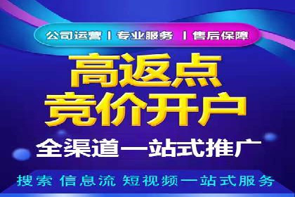SEO与百度推广结合的营销策略——经典案例解析